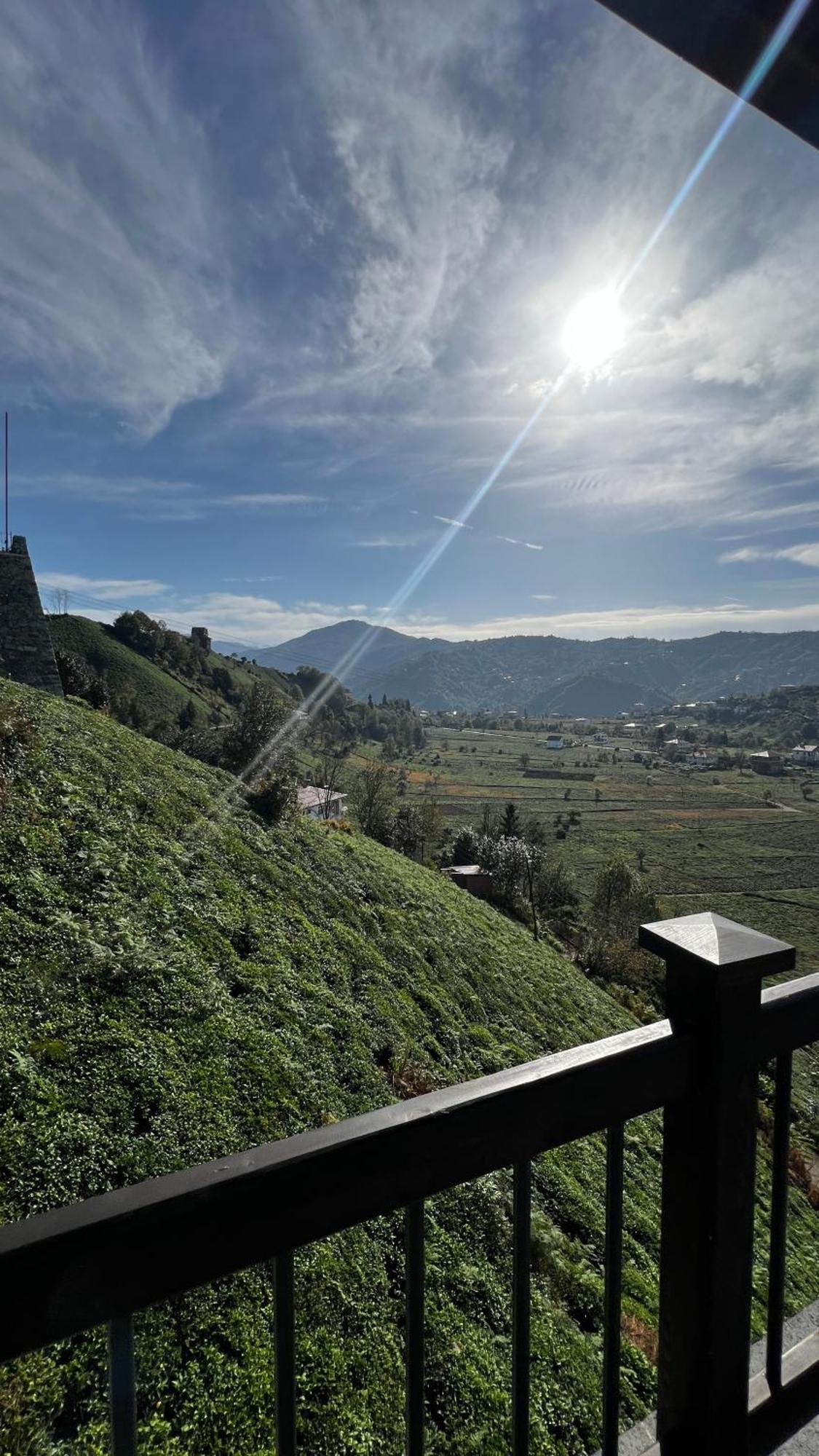 Meona Villa Bungalov Ardeşen Extérieur photo